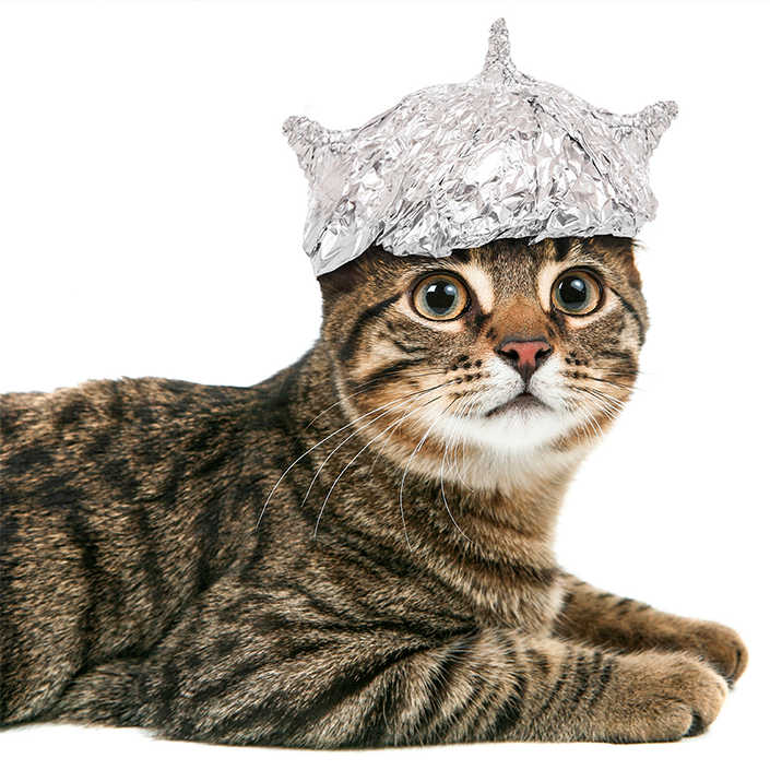 Impact of Wi-Fi radiation on human health,1 - Internet provider Briz in Odesa